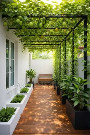 Pergolas for Outdoor Use That Suits Your Home.