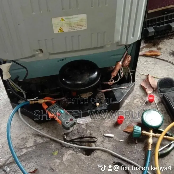 Fridge Repair and Service.