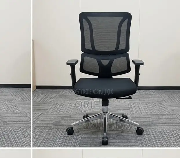 Office Chair : Orthopedic Ergonomic High Back Chair