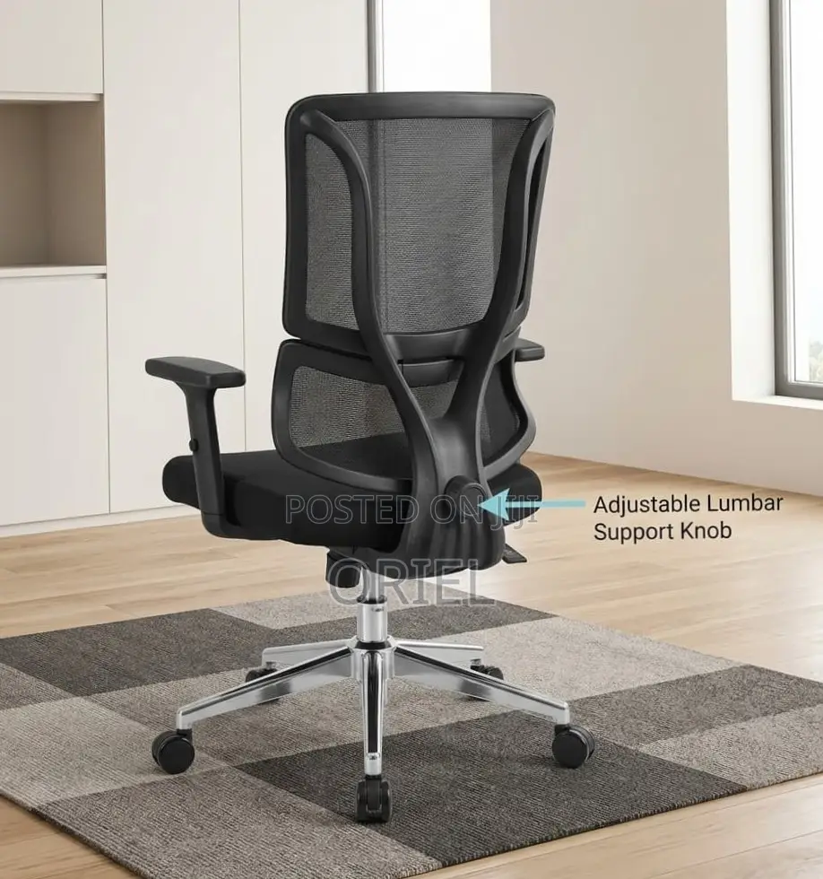Office Chair : Orthopedic Ergonomic High Back Chair