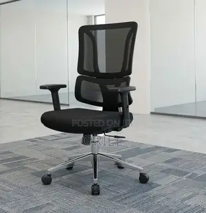 Office Chair : Orthopedic Ergonomic High Back Chair