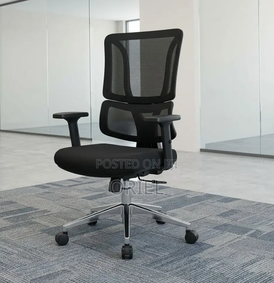 Office Chair : Orthopedic Ergonomic High Back Chair