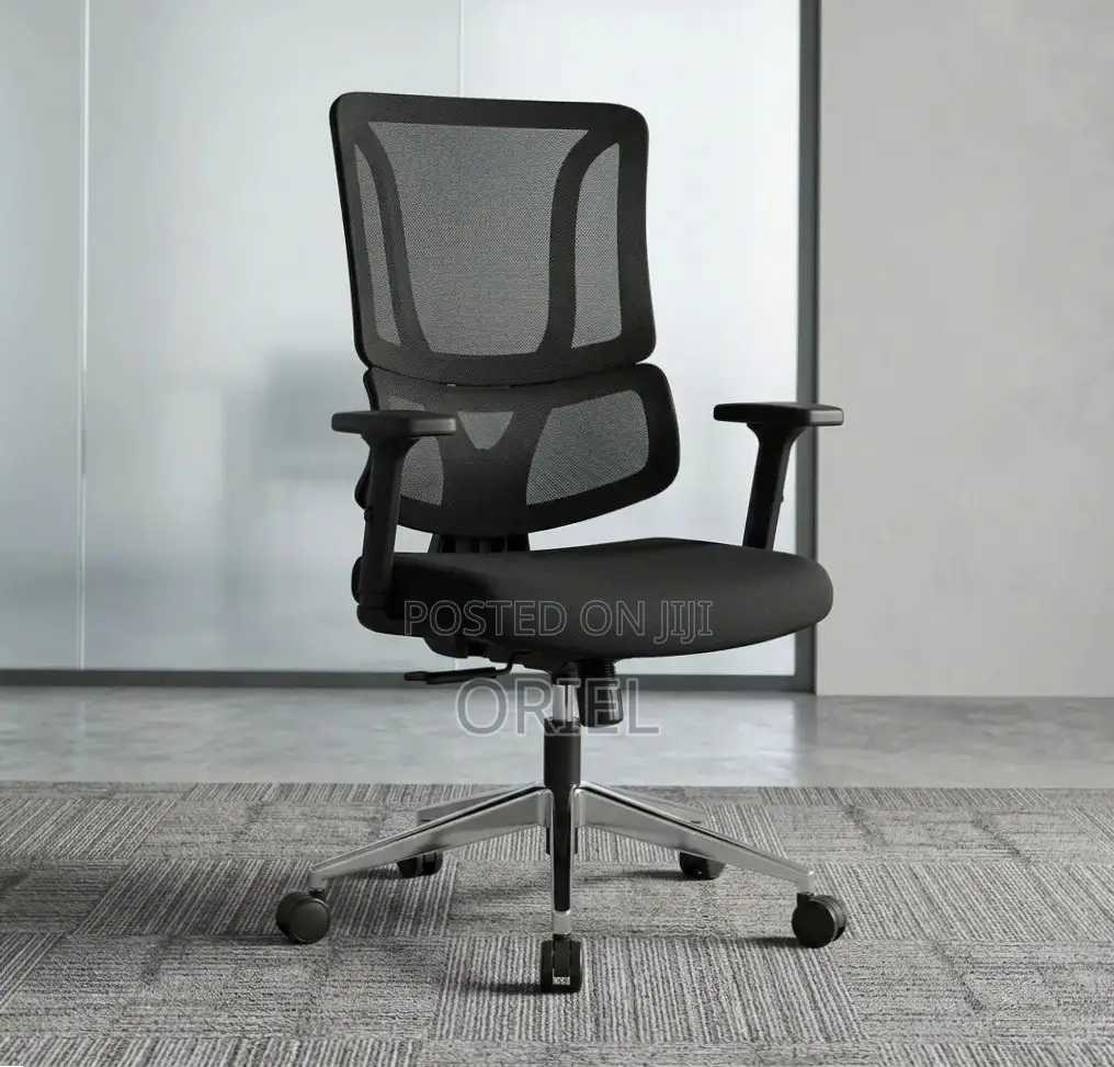 Office Chair : Orthopedic Ergonomic High Back Chair