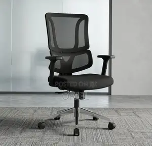 Office Chair : Orthopedic Ergonomic High Back Chair