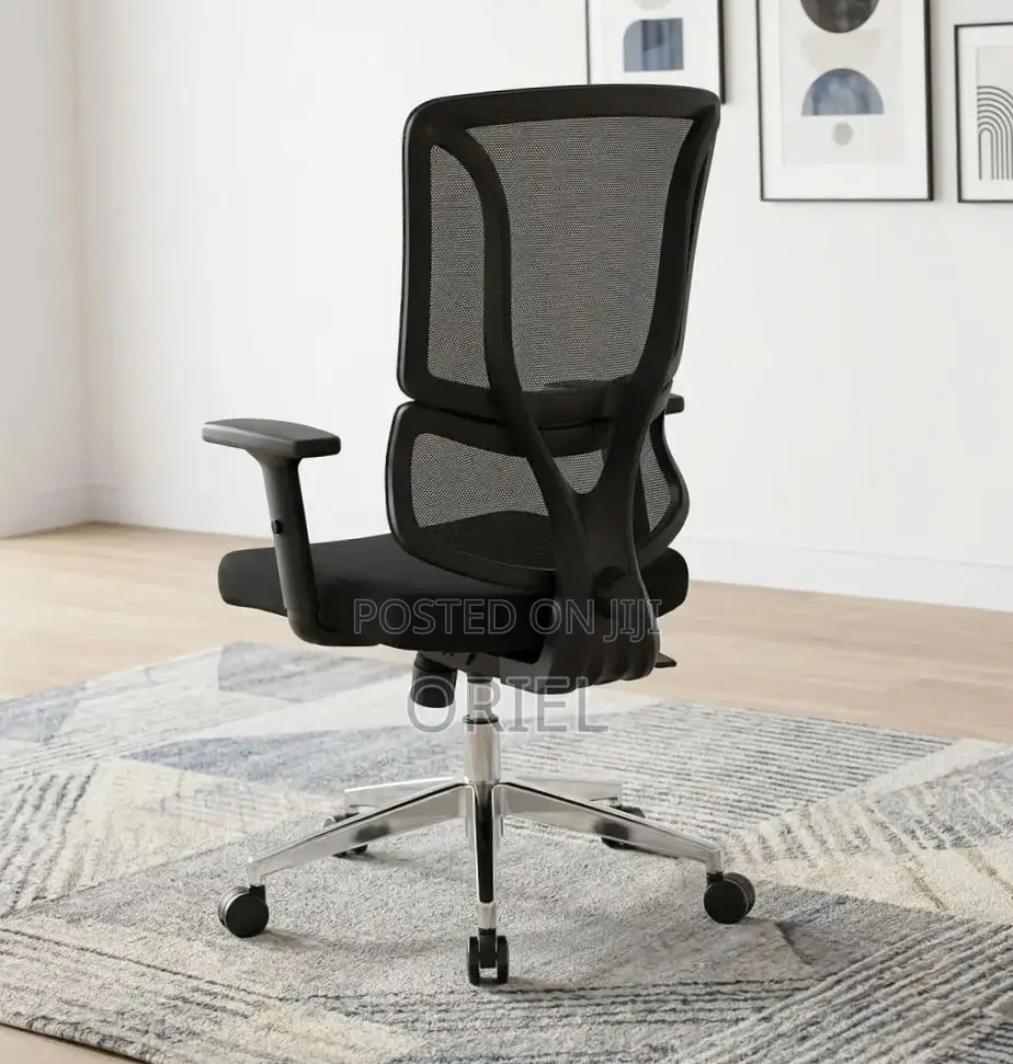 Office Chair : Orthopedic Ergonomic High Back Chair