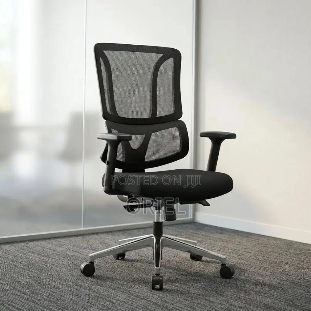 Office Chair : Orthopedic Ergonomic High Back Chair