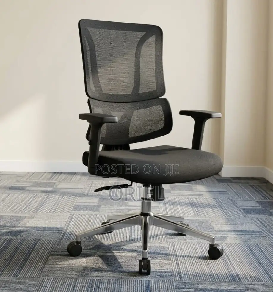 Office Chair : Orthopedic Ergonomic High Back Chair