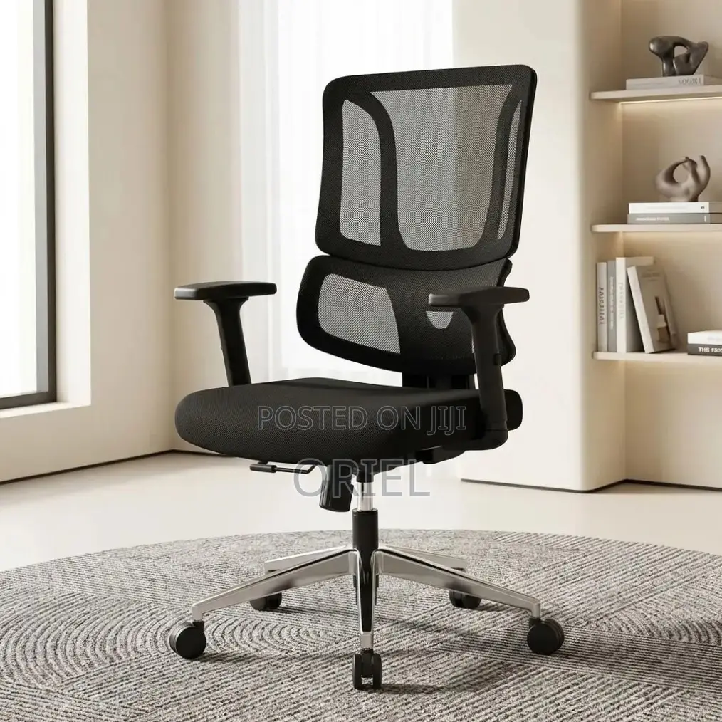 Office Chair : Orthopedic Ergonomic High Back Chair