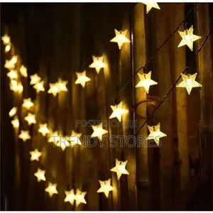 Christmas Themed Lights