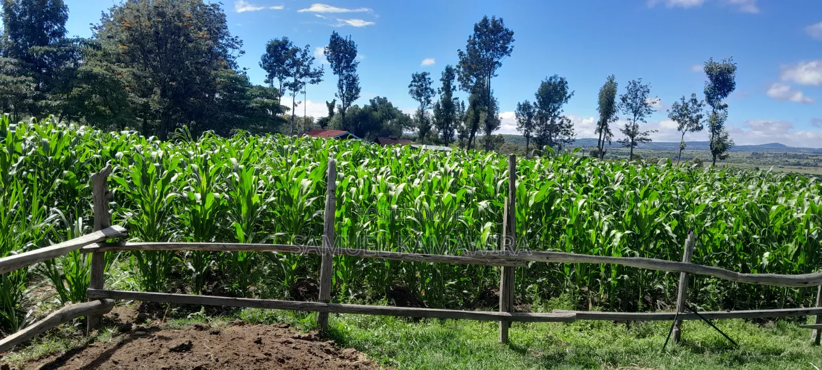 10 Acres for Sale