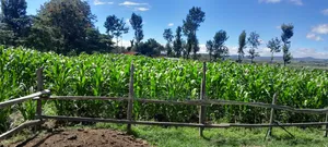 10 Acres for Sale