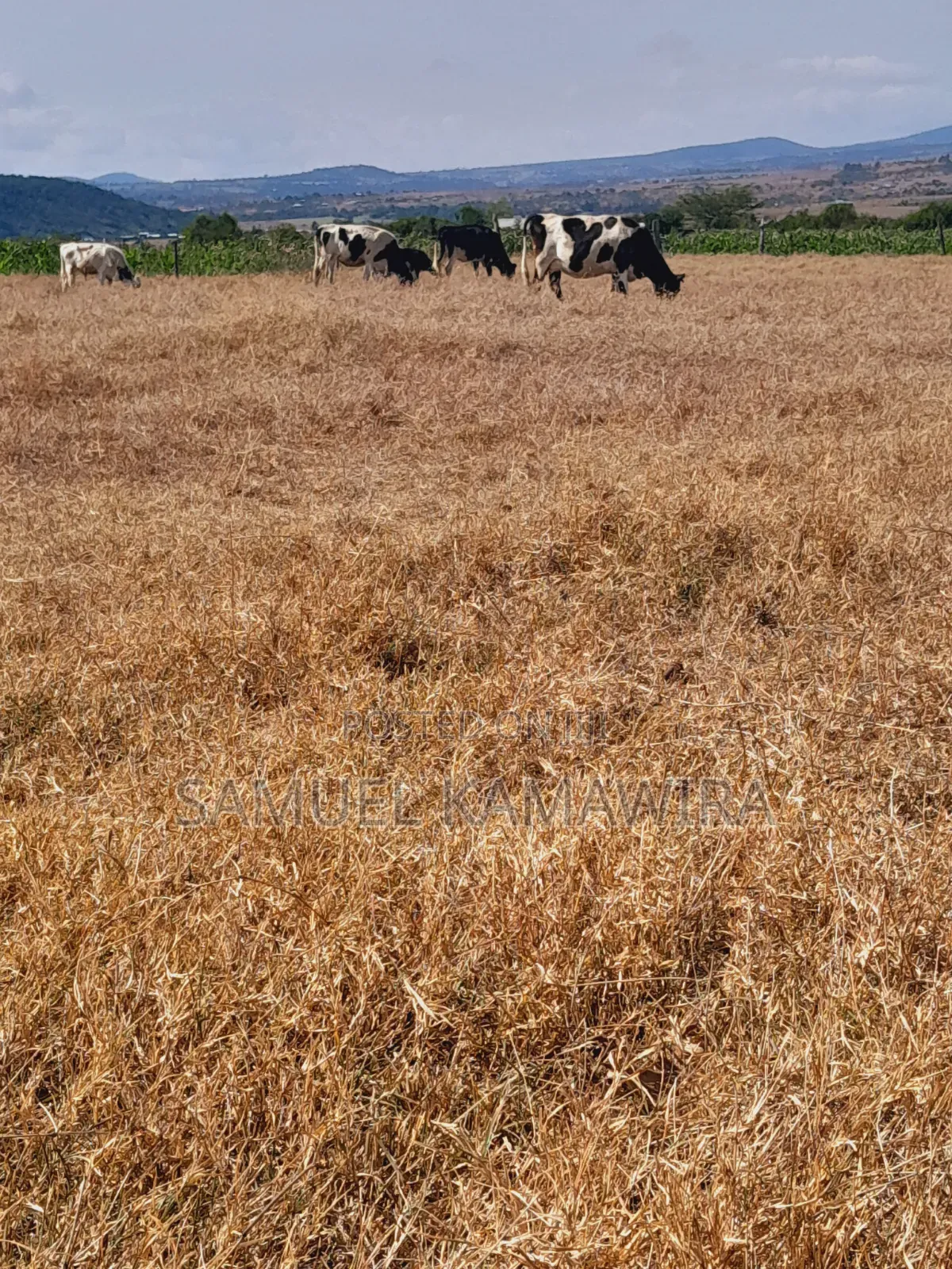 10 Acres for Sale