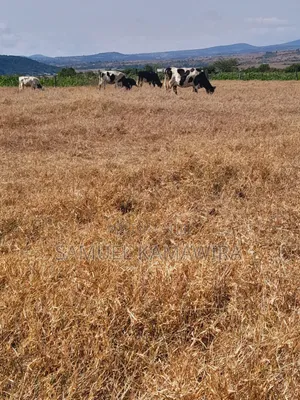 10 Acres for Sale