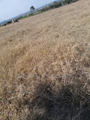 10 Acres for Sale