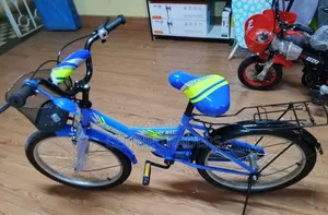 Premier Lion King Size 20 Bicycle – Premium Design