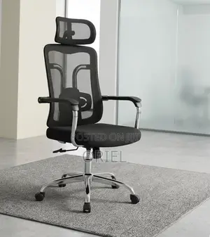 Office Chair : Padded Mesh High Back Chair