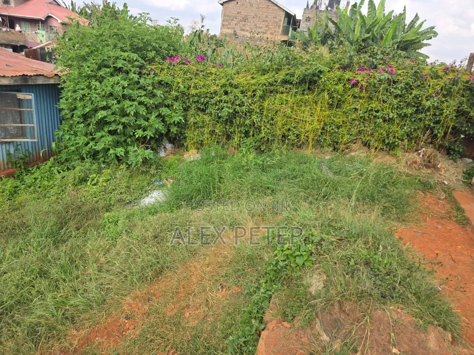 Plots for Sale