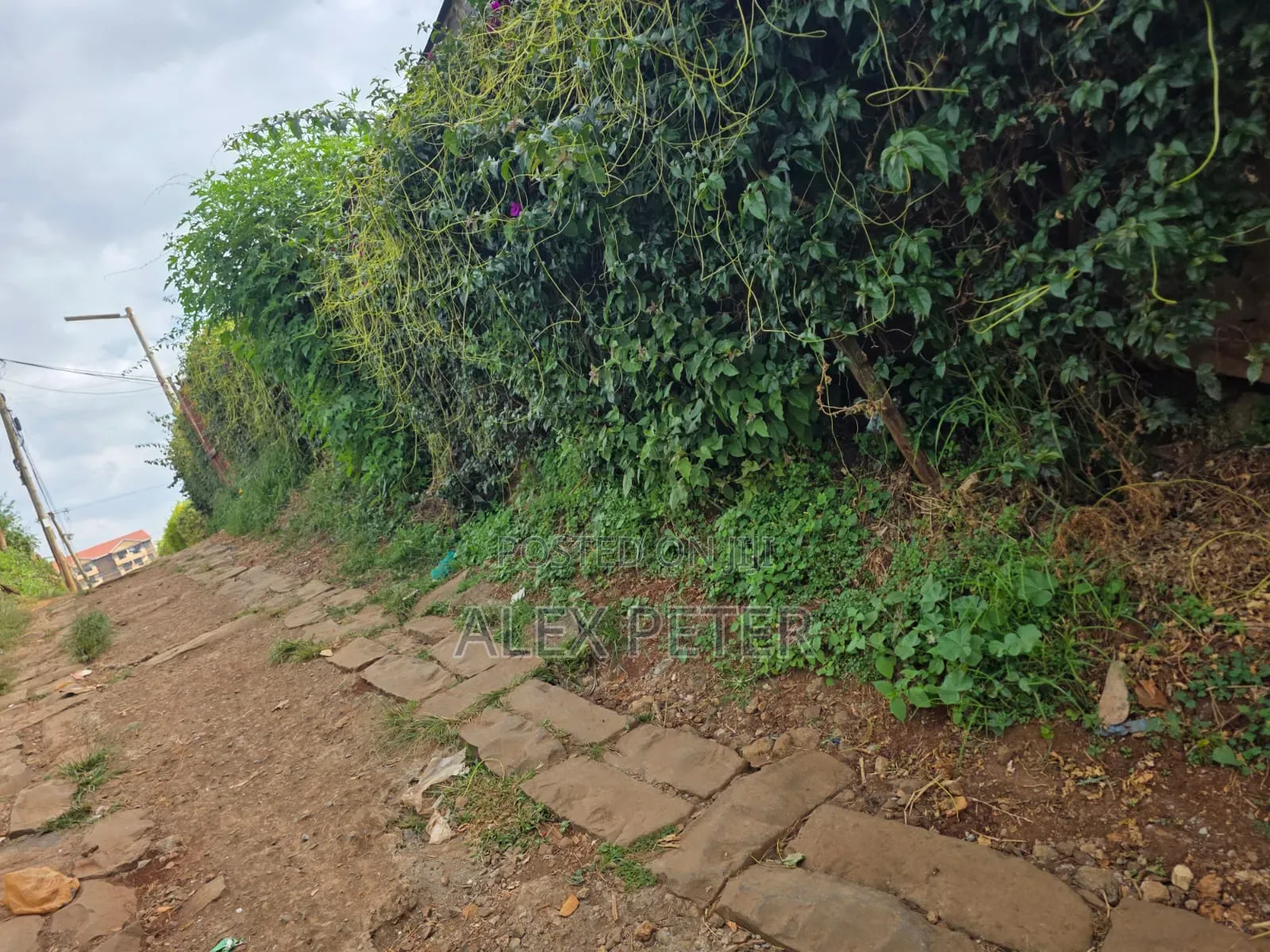 Plots for Sale