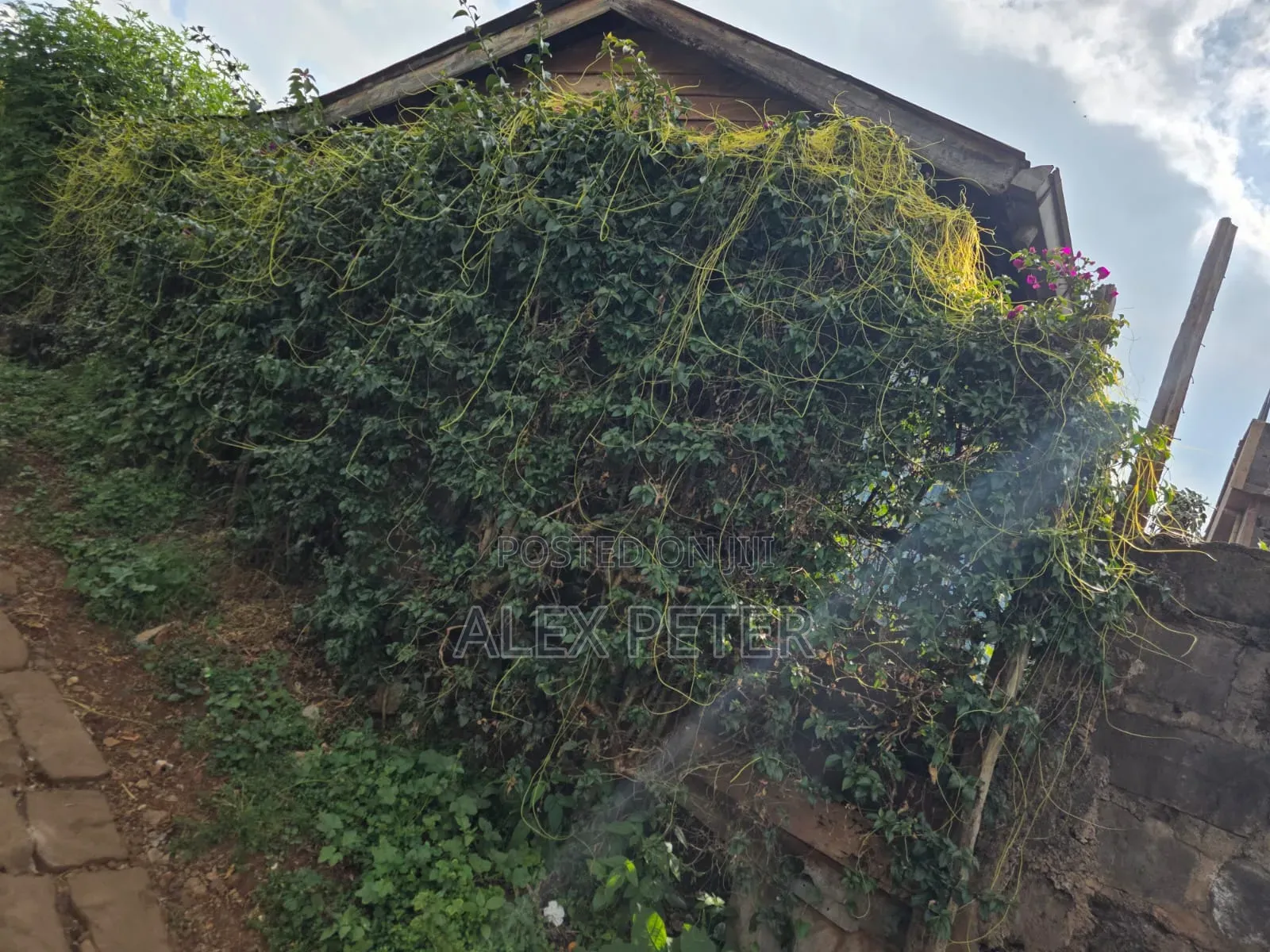Plots for Sale