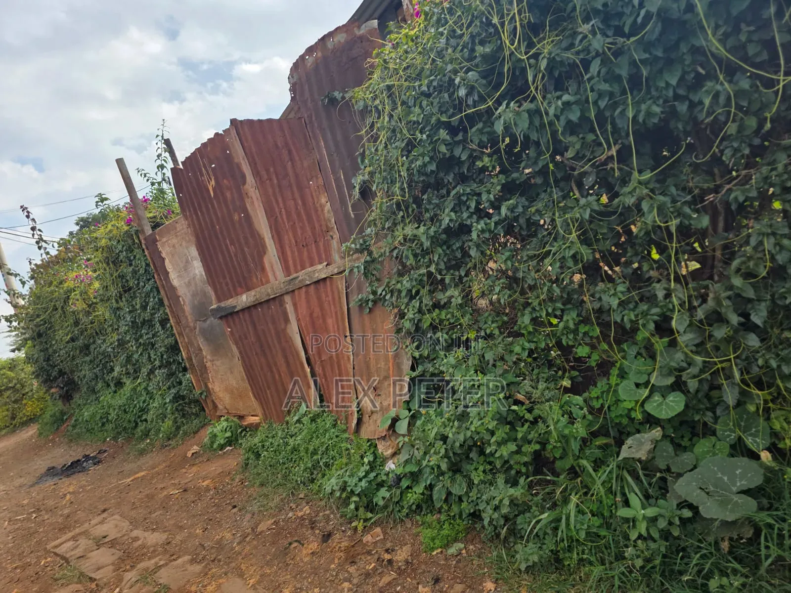Plots for Sale