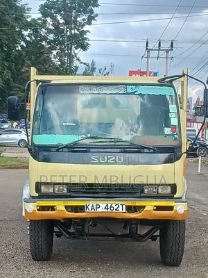 Isuzu FSR 2009 Beige