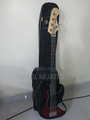 Passive 5 String Bass Guitar.
