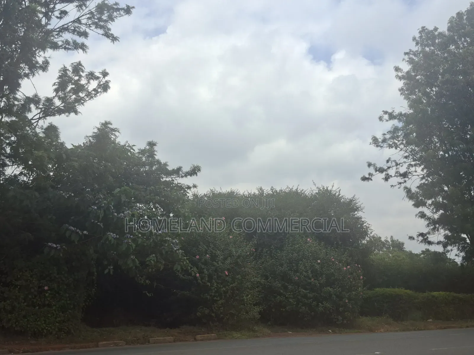 20 Acres for Sale Karen