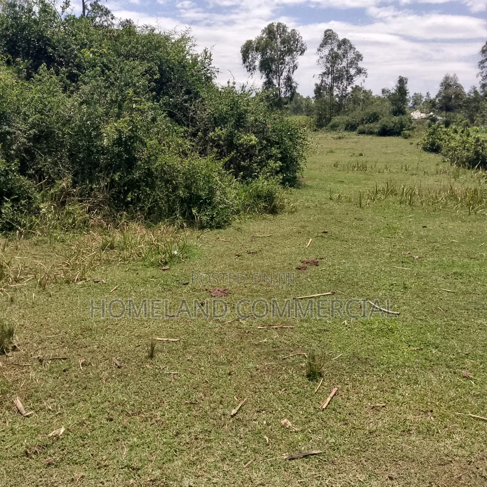 20 Acres for Sale Karen
