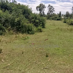 20 Acres for Sale Karen
