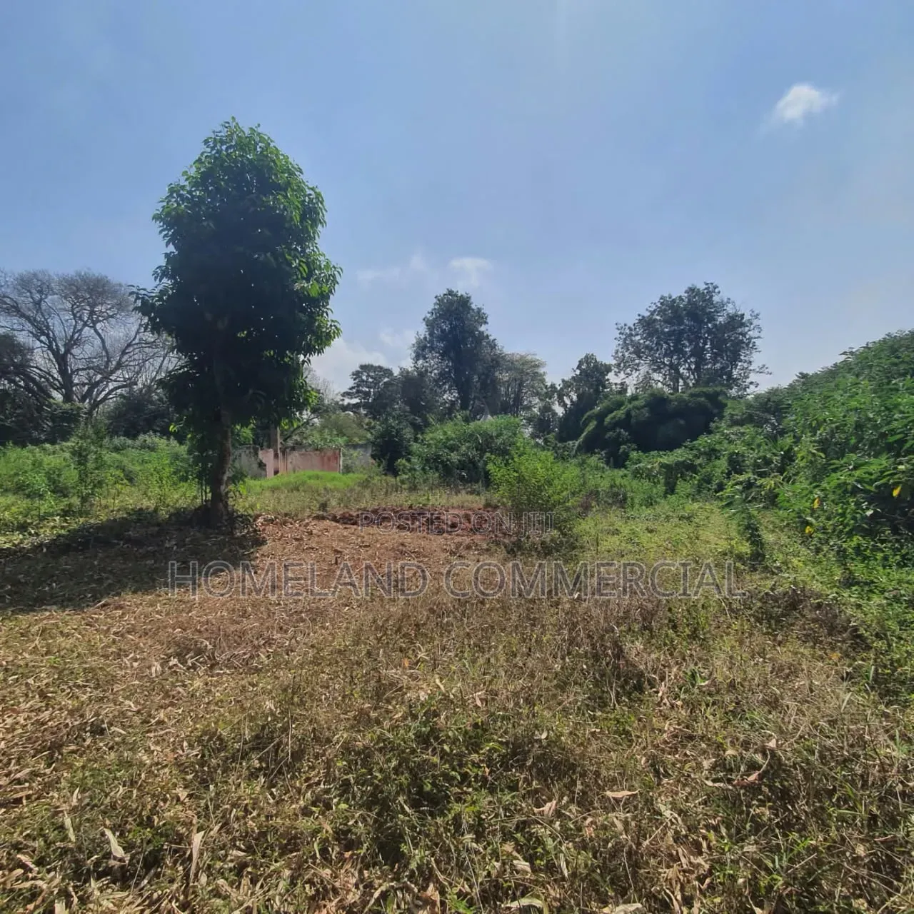 20 Acres for Sale Karen