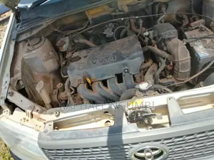 Toyota Probox 2009 Silver