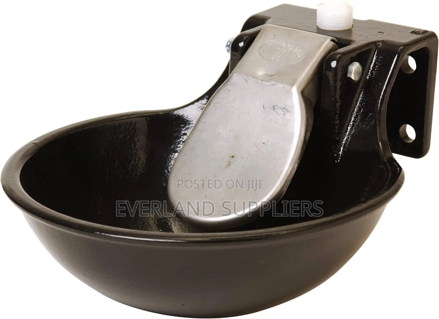 Impact-Resistant Design Cast Iron Drinker