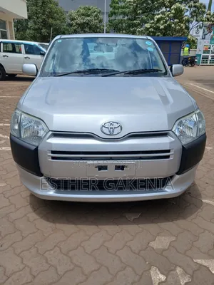 Toyota Probox 2019 Silver
