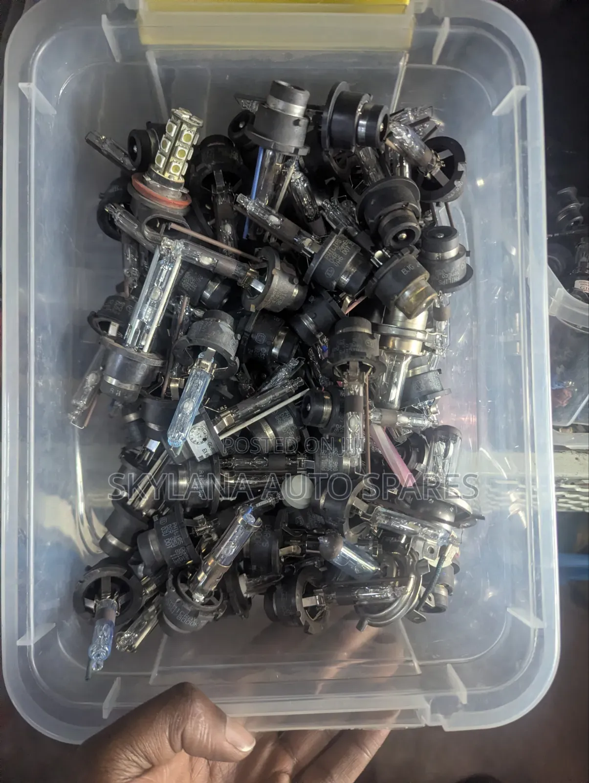 D4r/S and D2r/S Bulb