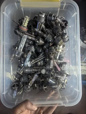 D4r/S and D2r/S Bulb