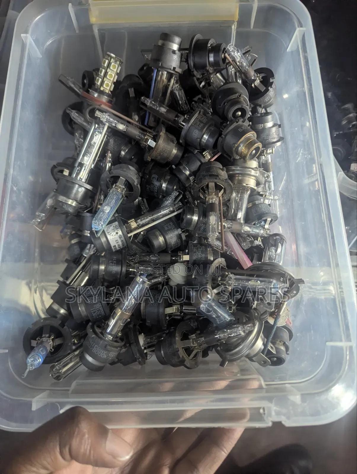 D4r/S and D2r/S Bulb