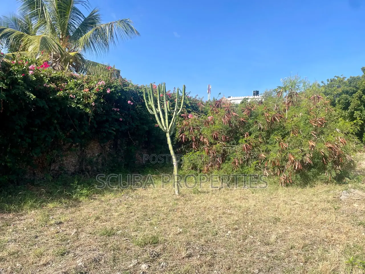 Prime Half an Acre(2000 Sq/M) Walled Plot for Sale in Watamu Fragola