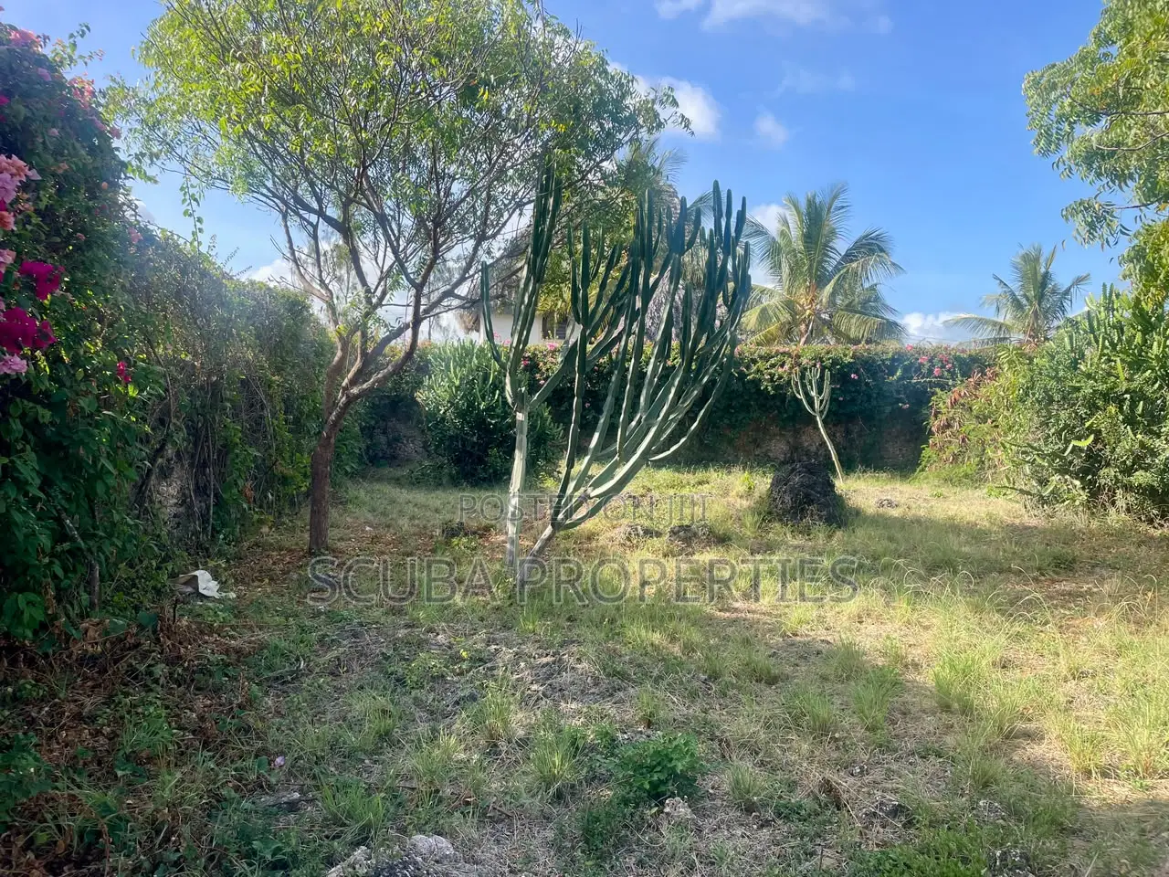 Prime Half an Acre(2000 Sq/M) Walled Plot for Sale in Watamu Fragola