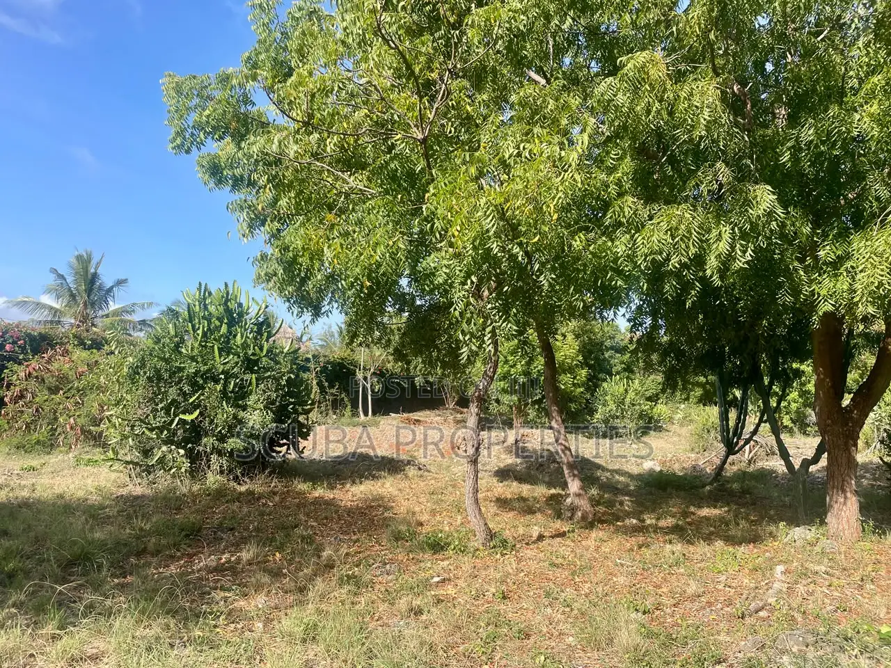 Prime Half an Acre(2000 Sq/M) Walled Plot for Sale in Watamu Fragola
