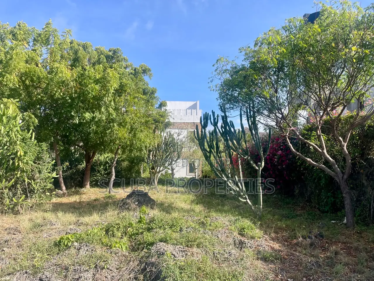 Prime Half an Acre(2000 Sq/M) Walled Plot for Sale in Watamu Fragola