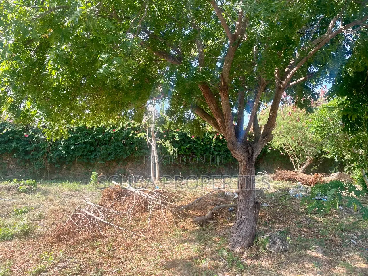 Prime Half an Acre(2000 Sq/M) Walled Plot for Sale in Watamu Fragola