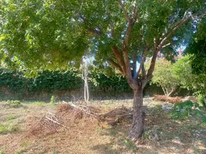 Prime Half an Acre(2000 Sq/M) Walled Plot for Sale in Watamu Fragola