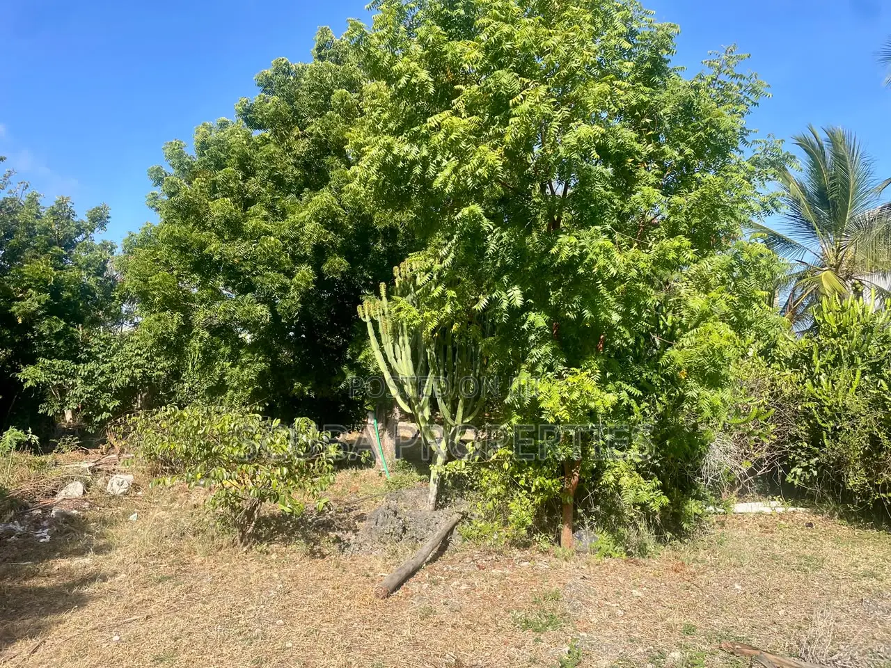 Prime Half an Acre(2000 Sq/M) Walled Plot for Sale in Watamu Fragola