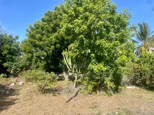 Prime Half an Acre(2000 Sq/M) Walled Plot for Sale in Watamu Fragola
