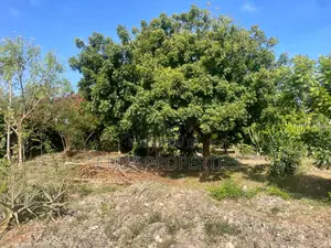 Prime Half an Acre(2000 Sq/M) Walled Plot for Sale in Watamu Fragola