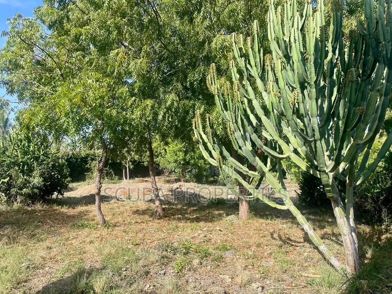 Prime Half an Acre(2000 Sq/M) Walled Plot for Sale in Watamu Fragola