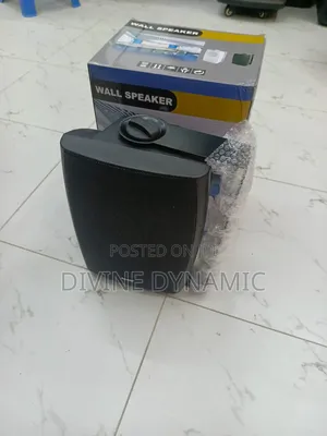Wall Speaker