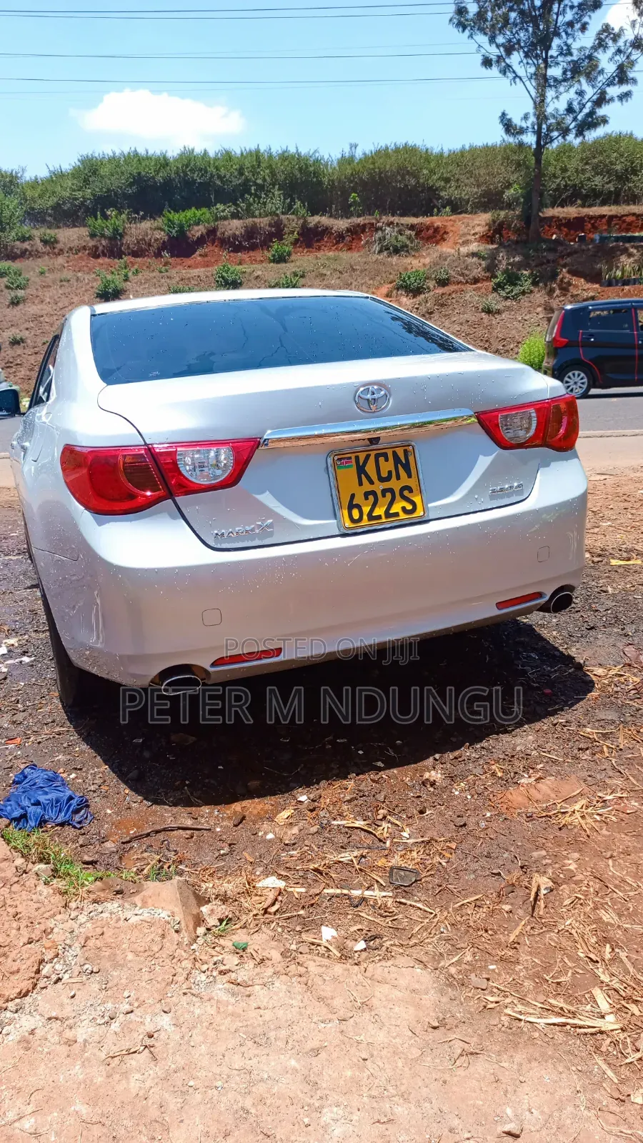 Toyota Mark X 2011 Gray