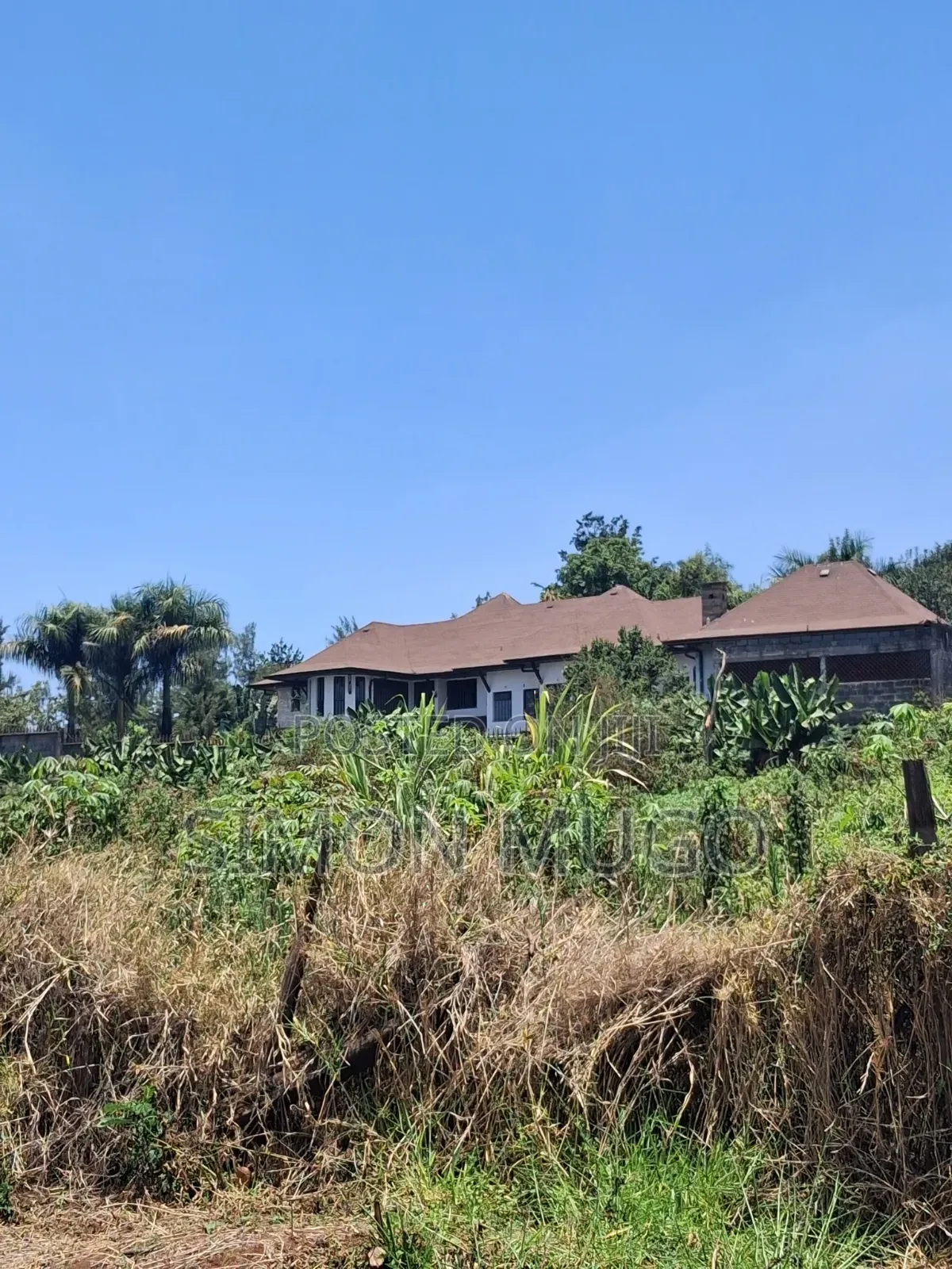 Runda Evergreen Kiambu Secure Fully Serviced 3/4 Acre