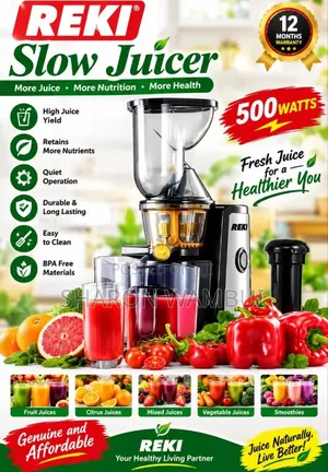 New Quality 500W Reki Slow Juicer/Reki Slow Juicer Machine